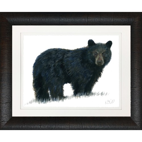 KS- BLACK BEAR 1